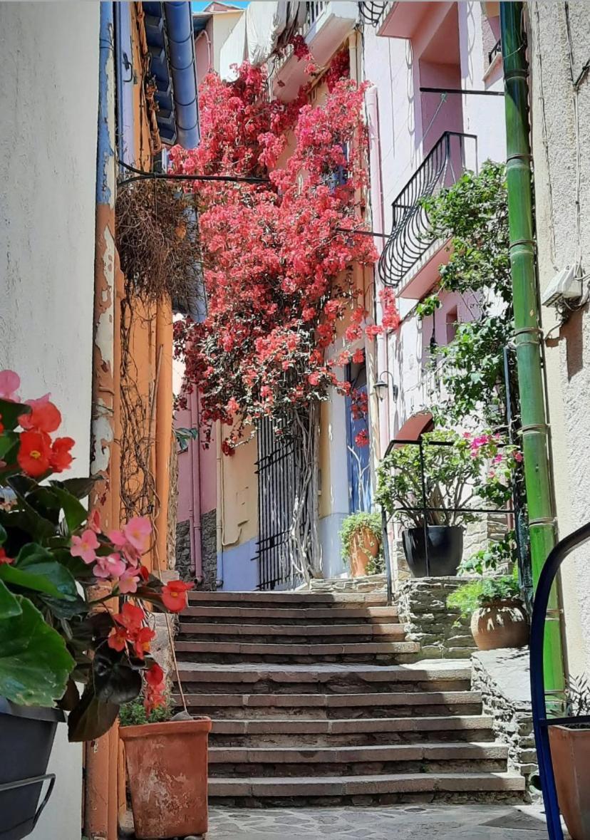 Studio Collioure Mouret ภายนอก รูปภาพ